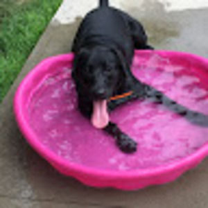 Meet your Posher, Colin